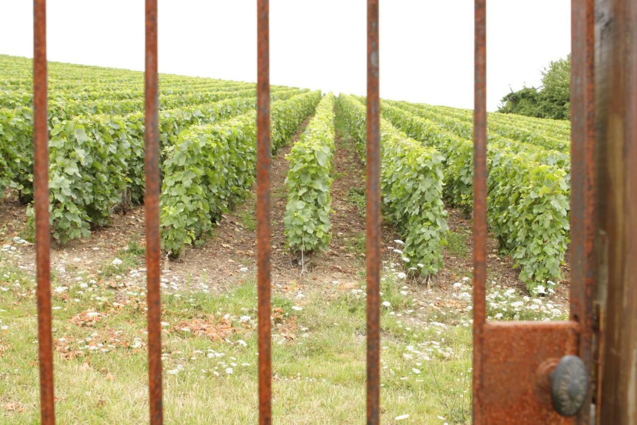 Au Coeur Des Vignes Bed and Breakfast Épernay Eksteriør billede